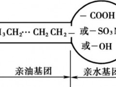 表面活性剂的分子结构特点与类型