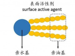 洗涤剂的有效成分及作用机理