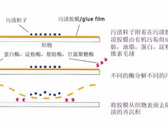洗涤剂配方复配原理