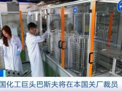 从巴斯夫到陶氏：化工企业关厂风潮背后的生存战