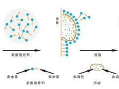 表面活性剂（surfactant）的分子结构