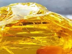 松香酸钠“绿色”表面活性剂“原料