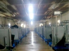 发泡型表面活性剂在消毒剂中的应用